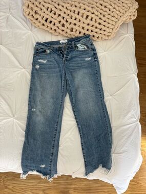 pistola Washed Blue Wide Leg Jeans with Raw Hem